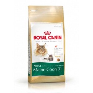 ROYAL CANIN MAINE COON